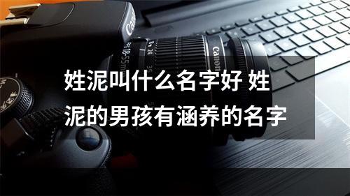 姓泥叫什么名字好 姓泥的男孩有涵养的名字