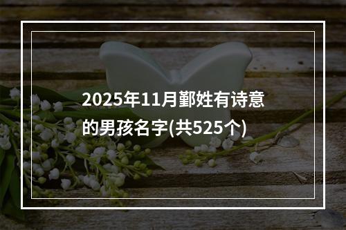 2025年11月鄞姓有诗意的男孩名字(共525个)