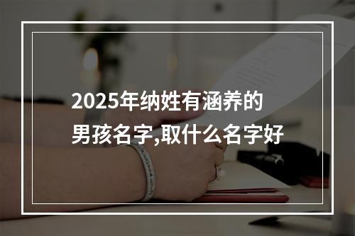 2025年纳姓有涵养的男孩名字,取什么名字好
