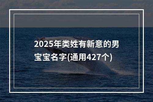 2025年类姓有新意的男宝宝名字(通用427个)