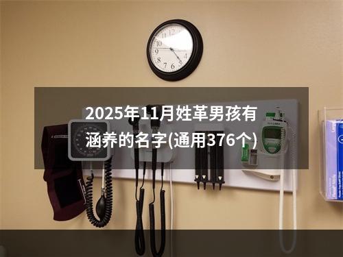 2025年11月姓革男孩有涵养的名字(通用376个)