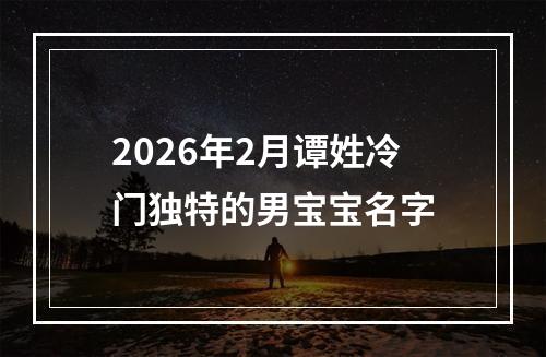 2026年2月谭姓冷门独特的男宝宝名字