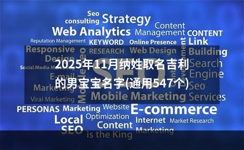 2025年11月纳姓取名吉利的男宝宝名字(通用547个)