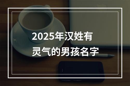 2025年汉姓有灵气的男孩名字