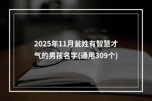 2025年11月瓮姓有智慧才气的男孩名字(通用309个)
