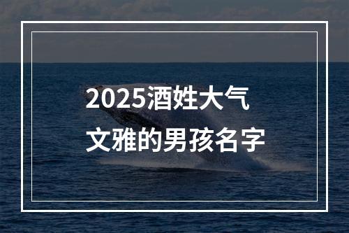 2025酒姓大气文雅的男孩名字