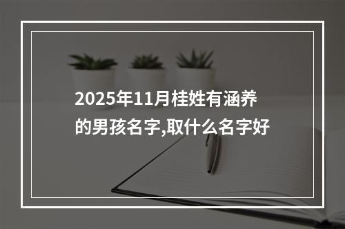 2025年11月桂姓有涵养的男孩名字,取什么名字好