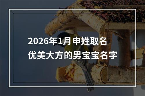 2026年1月申姓取名优美大方的男宝宝名字