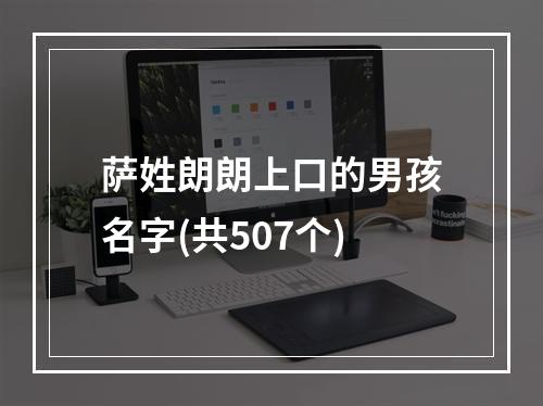 萨姓朗朗上口的男孩名字(共507个)