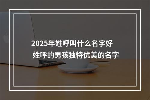 2025年姓呼叫什么名字好 姓呼的男孩独特优美的名字