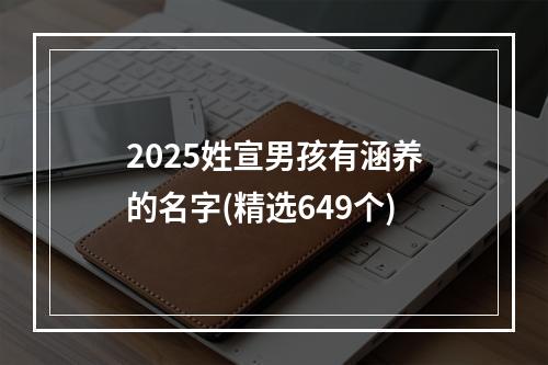 2025姓宣男孩有涵养的名字(精选649个)