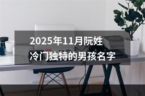2025年11月阮姓冷门独特的男孩名字