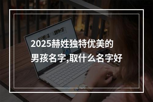 2025赫姓独特优美的男孩名字,取什么名字好