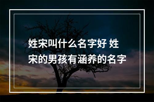 姓宋叫什么名字好 姓宋的男孩有涵养的名字