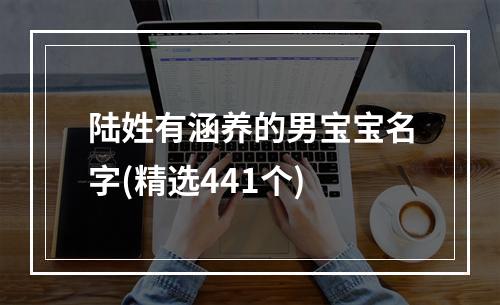 陆姓有涵养的男宝宝名字(精选441个)