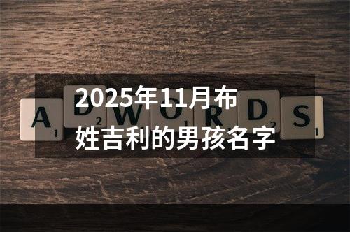 2025年11月布姓吉利的男孩名字