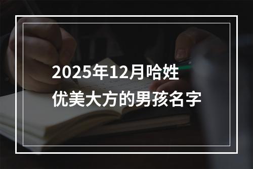 2025年12月哈姓优美大方的男孩名字