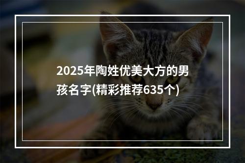2025年陶姓优美大方的男孩名字(精彩推荐635个)