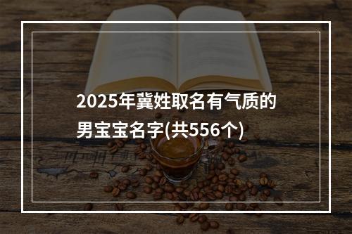 2025年冀姓取名有气质的男宝宝名字(共556个)