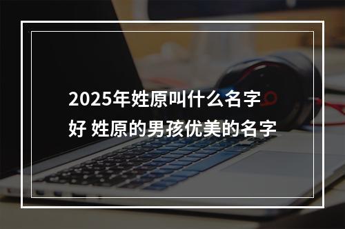 2025年姓原叫什么名字好 姓原的男孩优美的名字