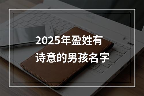 2025年盈姓有诗意的男孩名字