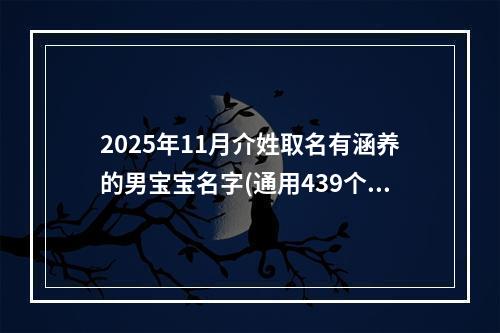 2025年11月介姓取名有涵养的男宝宝名字(通用439个)