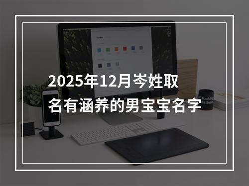 2025年12月岑姓取名有涵养的男宝宝名字