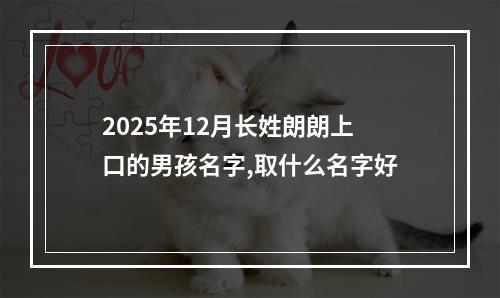 2025年12月长姓朗朗上口的男孩名字,取什么名字好