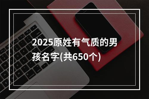 2025原姓有气质的男孩名字(共650个)