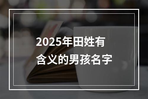 2025年田姓有含义的男孩名字