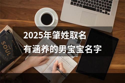 2025年肇姓取名有涵养的男宝宝名字