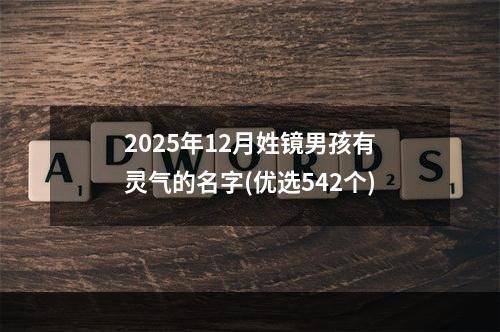 2025年12月姓镜男孩有灵气的名字(优选542个)