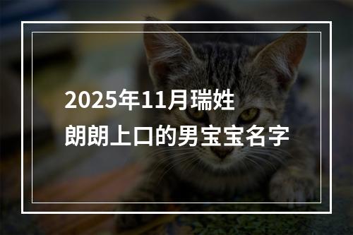 2025年11月瑞姓朗朗上口的男宝宝名字