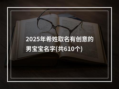 2025年希姓取名有创意的男宝宝名字(共610个)