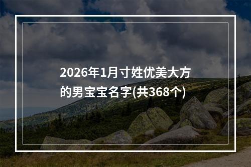 2026年1月寸姓优美大方的男宝宝名字(共368个)