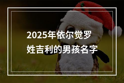 2025年依尔觉罗姓吉利的男孩名字