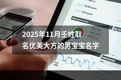 2025年11月壬姓取名优美大方的男宝宝名字