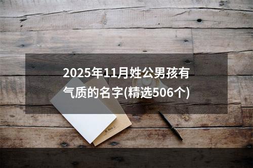 2025年11月姓公男孩有气质的名字(精选506个)