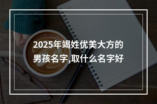 2025年竭姓优美大方的男孩名字,取什么名字好