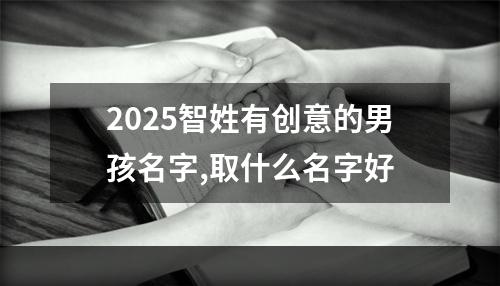 2025智姓有创意的男孩名字,取什么名字好