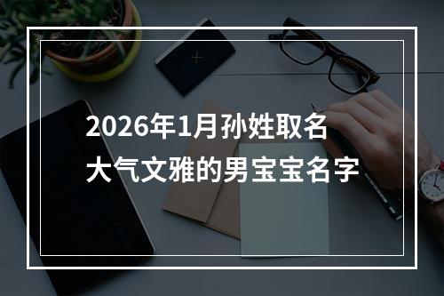 2026年1月孙姓取名大气文雅的男宝宝名字