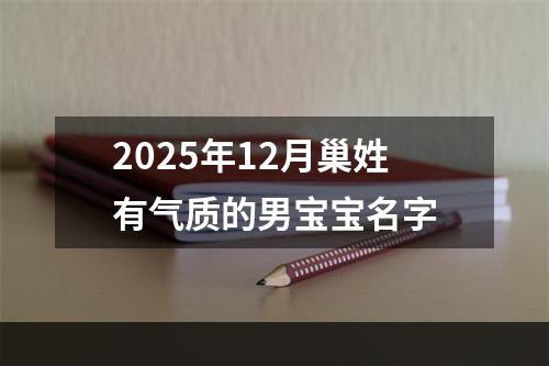 2025年12月巢姓有气质的男宝宝名字