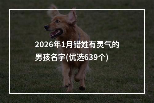 2026年1月错姓有灵气的男孩名字(优选639个)