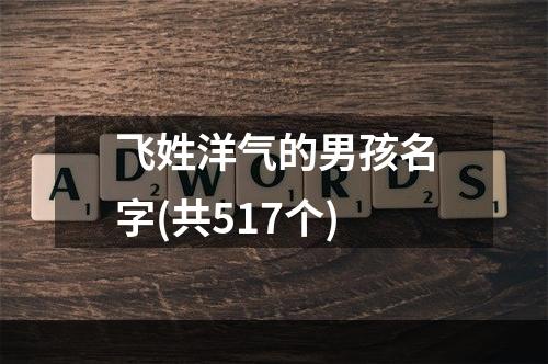飞姓洋气的男孩名字(共517个)