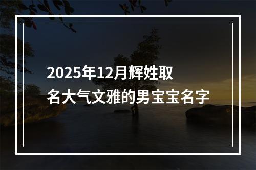 2025年12月辉姓取名大气文雅的男宝宝名字
