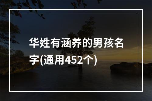 华姓有涵养的男孩名字(通用452个)