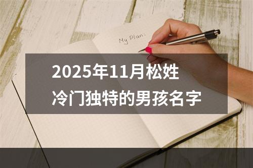 2025年11月松姓冷门独特的男孩名字
