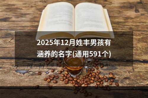 2025年12月姓丰男孩有涵养的名字(通用591个)