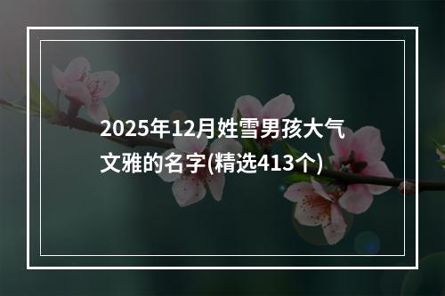 2025年12月姓雪男孩大气文雅的名字(精选413个)