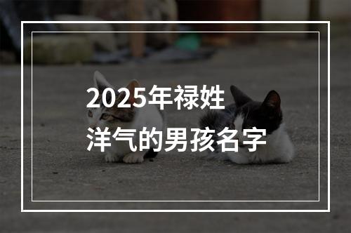 2025年禄姓洋气的男孩名字